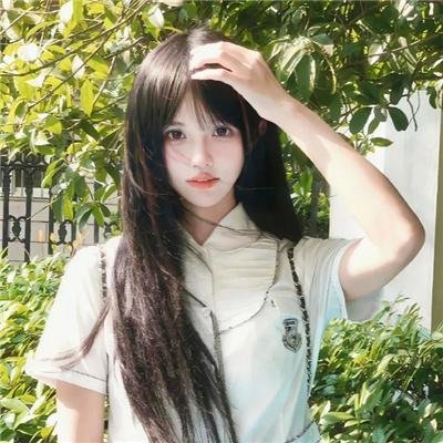 鲁冰花